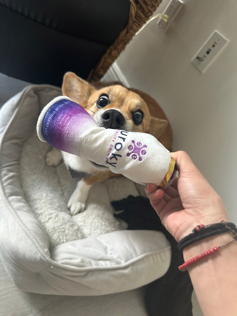 Euroky Vitality Drink Dog Toy – Fun, Durable & Squeaky for All Dogs!