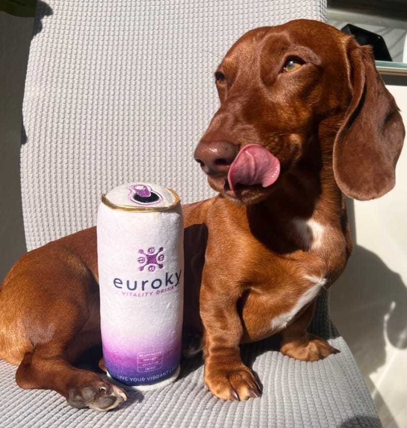 Euroky Vitality Drink Dog Toy – Fun, Durable & Squeaky for All Dogs!