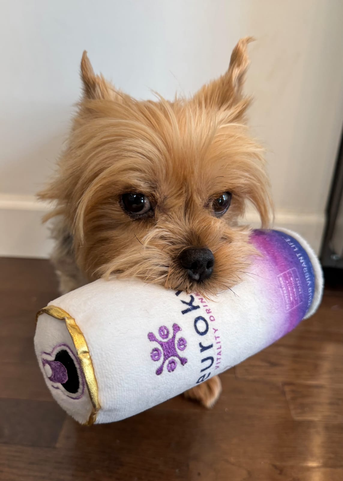 Euroky Vitality Drink Dog Toy – Fun, Durable & Squeaky for All Dogs!